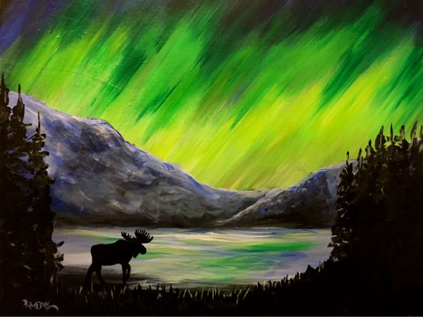 Northern Lights Moose