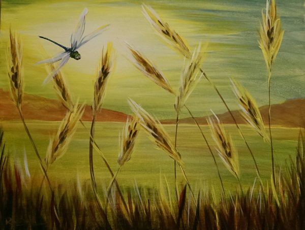 Dragonfly Fields