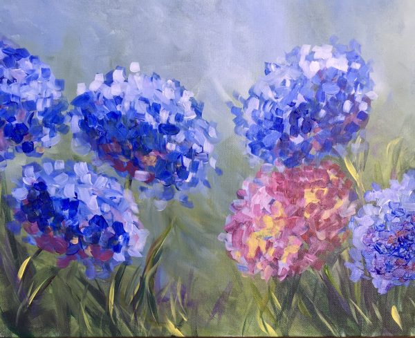 Hydrangeas